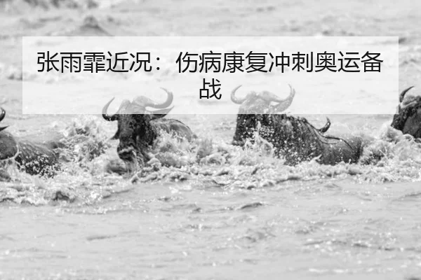 张雨霏近况：伤病康复冲刺奥运备战